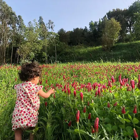 Quinta Da Casa Azul * Óbidos