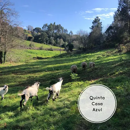Quinta Da Casa Azul * Óbidos