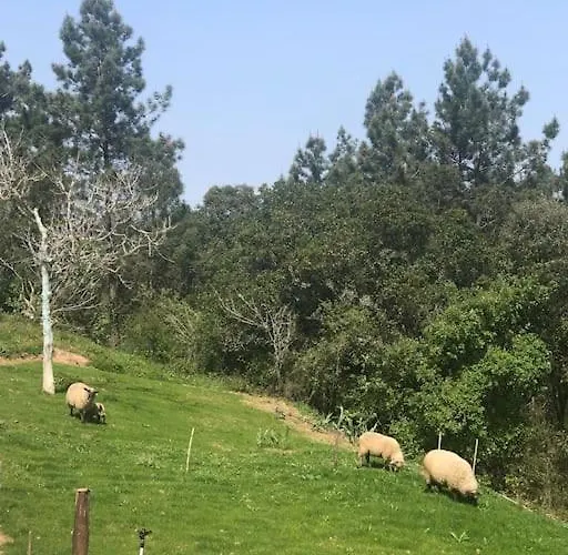 Quinta Da Casa Azul Casa de Férias