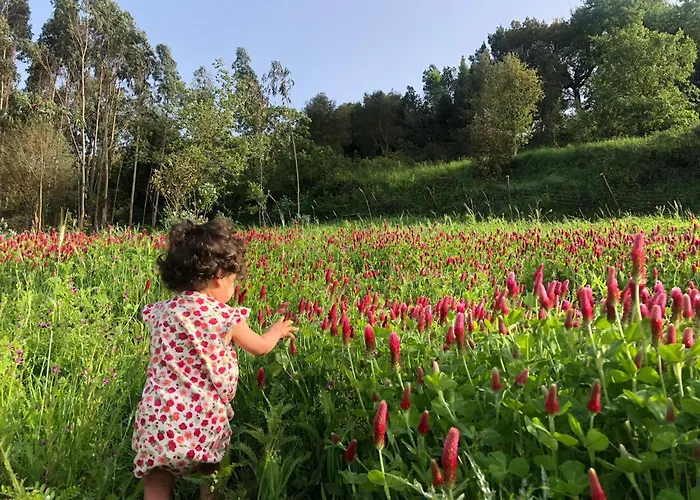 Quinta Da Casa Azul * Óbidos